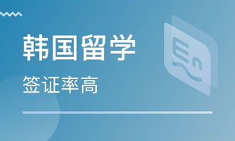 石家庄自费留学韩国 如何选择可靠的中介服务